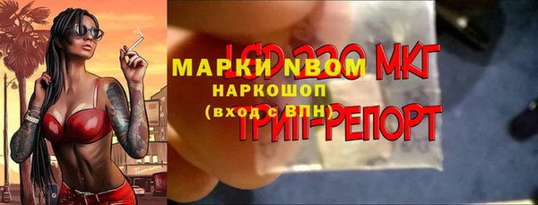 прущие грибы Медногорск