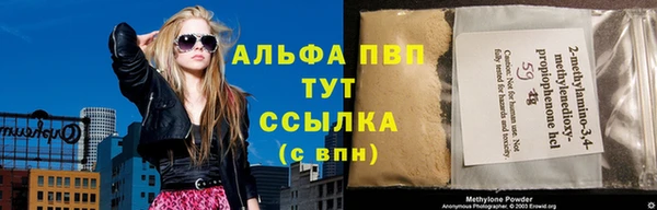 прущие грибы Медногорск