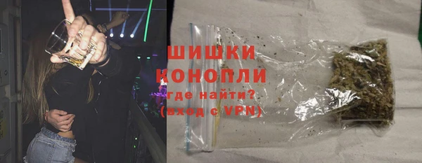 прущие грибы Медногорск