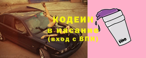 прущие грибы Медногорск