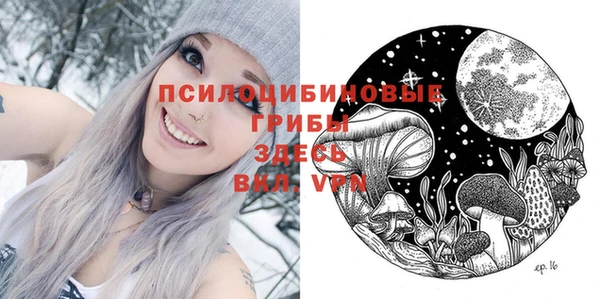 mdpv Мегион