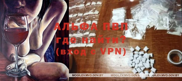 прущие грибы Медногорск