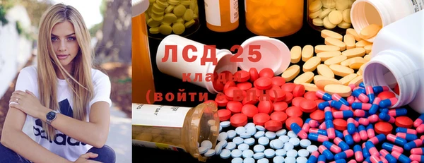 прущие грибы Медногорск
