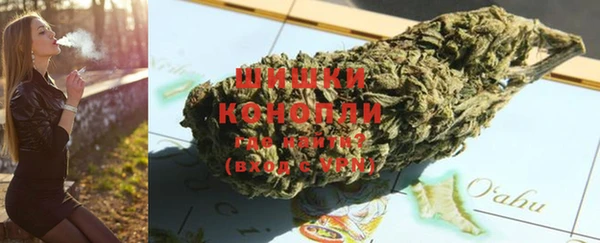 прущие грибы Медногорск