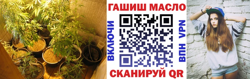 mega как войти  Муром  ТГК THC oil  где купить  