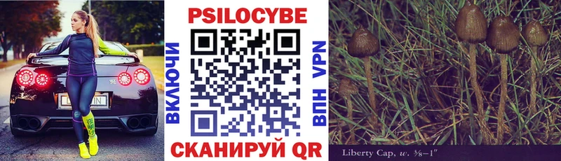 Псилоцибиновые грибы Psilocybine cubensis  hydra рабочий сайт  Муром 