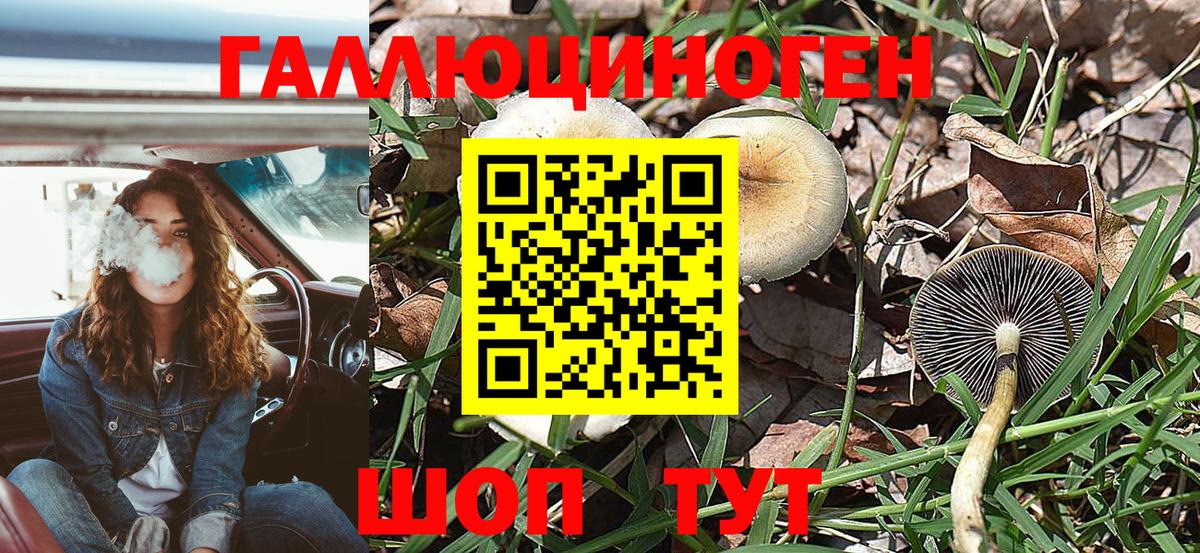 Галлюциногенные грибы Magic Shrooms Муром
