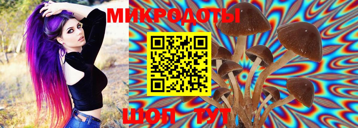 Галлюциногенные грибы MAGIC MUSHROOMS  где можно купить наркотик  Муром 