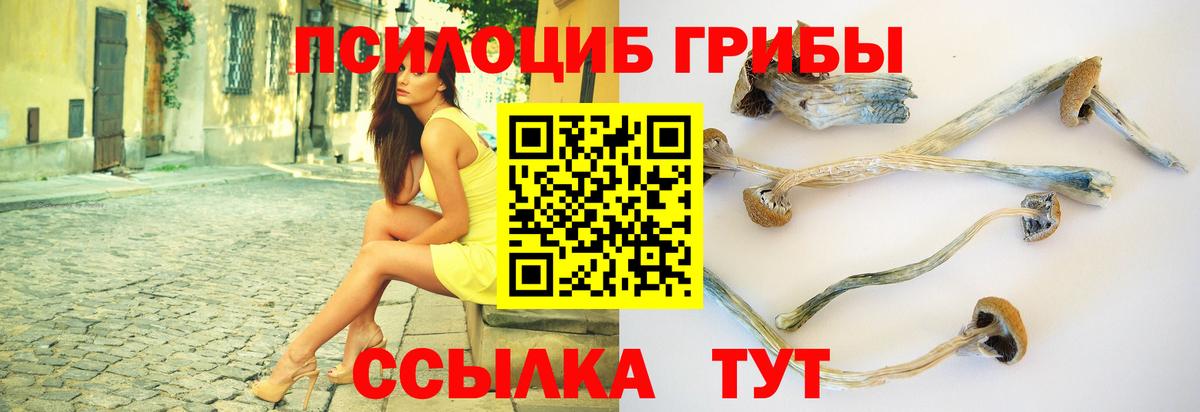 Каннабис  Гашик  Ешки  Муром  Вход с VPN  Кокаин  A PVP  Меф 